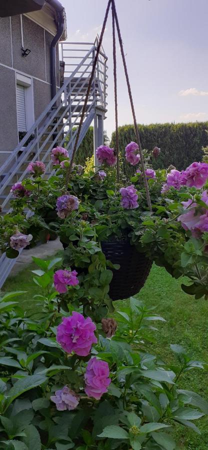 Apartament Jutrzenka Spytkowice  エクステリア 写真