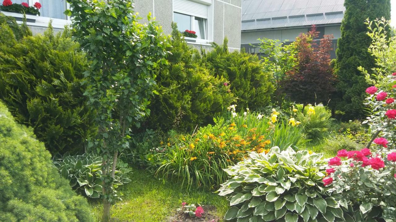 Apartament Jutrzenka Spytkowice  エクステリア 写真